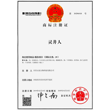 灵井人