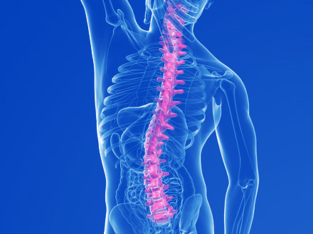 脊椎引起的108种疾病